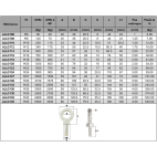 Cotes anneau de levage mâle fixe en acier C15 zingué ALLG - Pramac