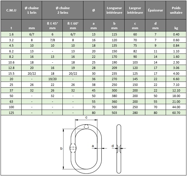 Spécifications techniques maille de tête de jonction élingues de levage MS Green Pin
